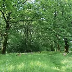 4 Person In Hovborg-by Traum Hébergement de vacances