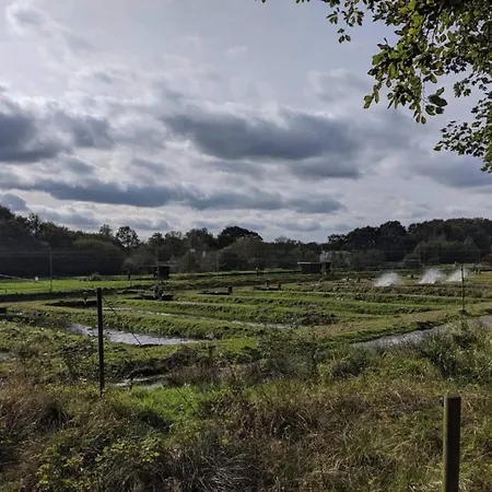 別荘 4 Person In Hovborg-by Traum