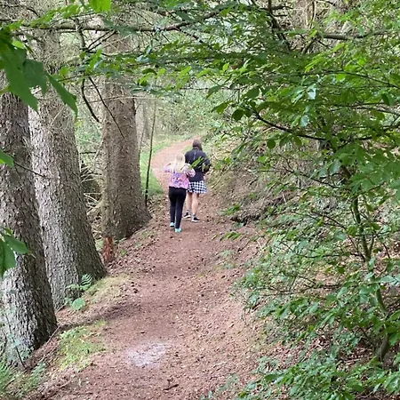 別荘 4 Person In Hovborg-by Traum ホーフブルグ