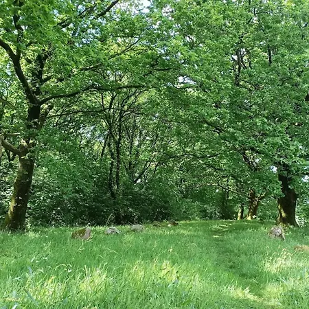 4 Person In Hovborg-by Traum 別荘