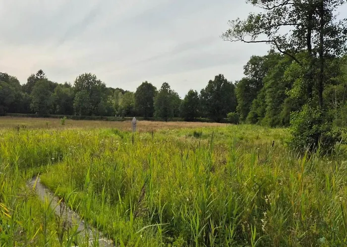 度假居 4 Person In Hovborg-by Traum Hovborg