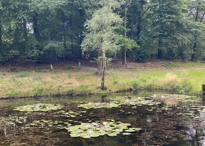 度假居 4 Person In Hovborg-by Traum *