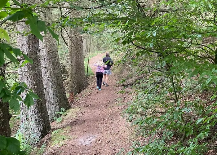 度假居 4 Person In Hovborg-by Traum Hovborg