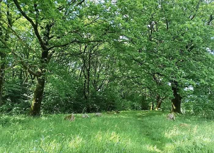 4 Person In Hovborg-by Traum 度假居